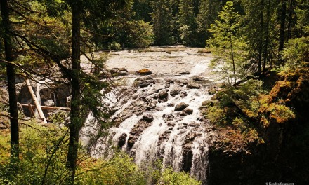 Chasing Waterfalls: Englishman River Falls (Vancouver Island)