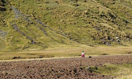 Salkantay + Inca Trail Trek – Day 3