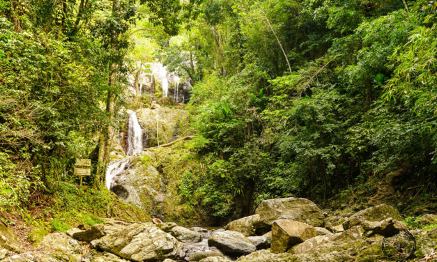 Check Out Argyle Falls in Tobago