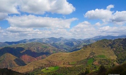 Ten Types of Landscape to Expect on the Camino Frances