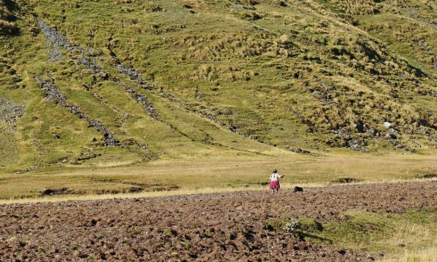 Salkantay + Inca Trail Trek – Day 3