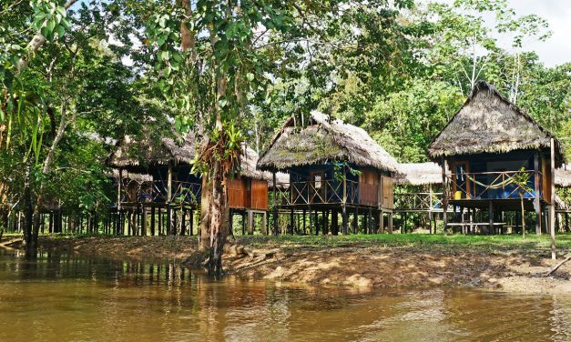 Things to Consider When Choosing an Amazonian Lodge