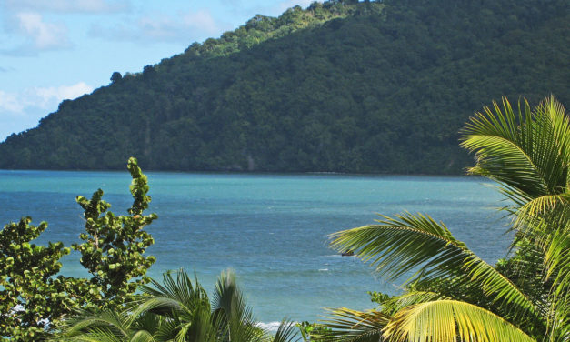 The Northeastern Coast of Trinidad: A Day Trip