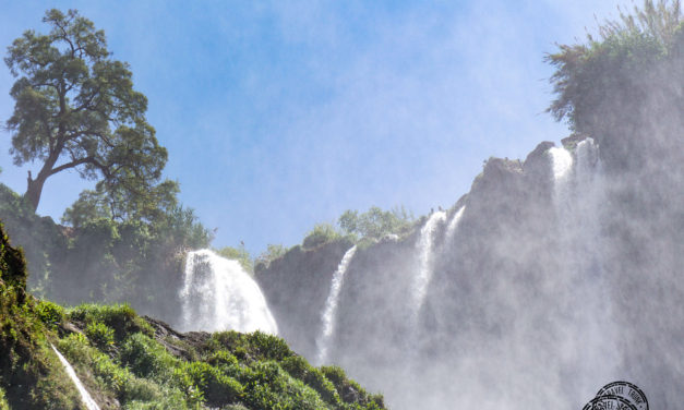 Yes, Ouzoud Waterfalls are worth checking out on a day trip from Marrakesh!