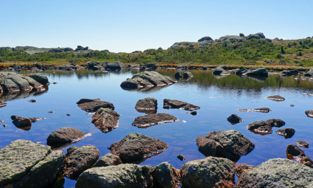 Trekking the Presidential Traverse: Day Three