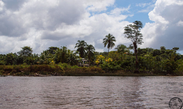Sailing Down the Essequibo