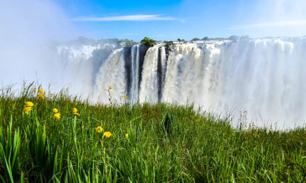 Victoria Falls: A Tale of Two Sides
